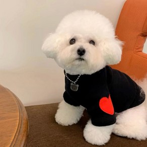 퍼피드림 강아지 하트패치 따뜻한 폴라리스 티셔츠 00173, 블랙, 1개