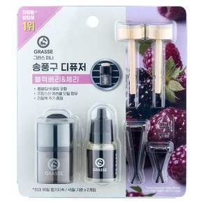 불스원 뉴 그라스 미니 송풍구 차량용 디퓨저 10ml 본품 + 10ml 리필, 1세트, 블랙베리 & 체리