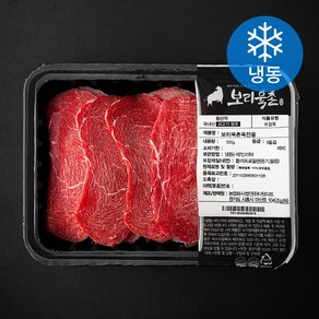보리육촌 국내산 소고기 육전용 (냉동), 1개, 300g