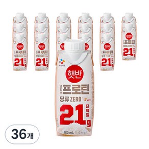 얼티브 프로틴 쌀밥맛, 250ml, 36개