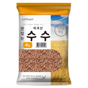 건강한밥상 맛있는 수수