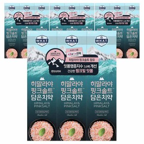 히말라야핑크솔트 담은 치약 튜브형 아이스, 100g, 12개