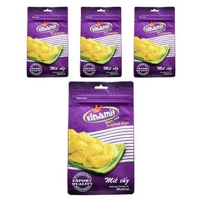 비나밋 잭푸룻칩, 100g, 4개