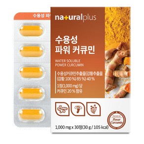내츄럴플러스 수용성 파워 커큐민 30p, 30정, 1개