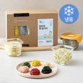 맘마유 퀵 밀키트 묽은죽 B플랜 480g (냉동), 1세트, 혼합맛(한우/아욱/닭가슴살/청경채/흰살생선/단호박)