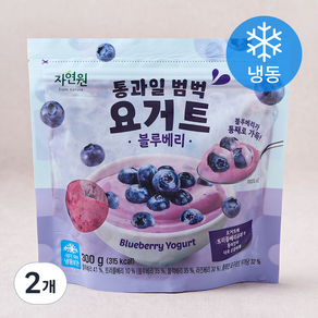 자연원 통과일 범벅 요거트 블루베리 (냉동), 300g, 2개