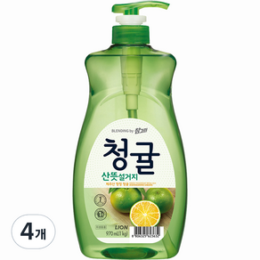 참그린 청귤 산뜻 설거지 주방세제, 970ml, 4개