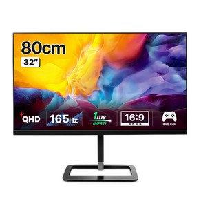 한성컴퓨터 QHD IPS 165 게이밍 모니터, 80cm, TFG32Q14P(일반)