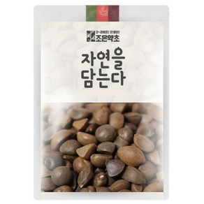 조은약초 동백씨, 600g, 1개