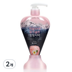 히말라야핑크솔트 펌핑치약 플로럴, 285g, 2개