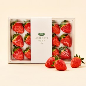 올프레쉬 GAP 인증 프리미엄 금실 딸기, 420g, 1박스