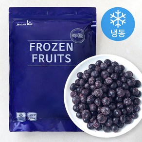 국산 블루베리 (냉동), 1kg, 1개