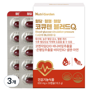 뉴트리가든 코큐텐 블러드Q 16.5g, 3개, 30정