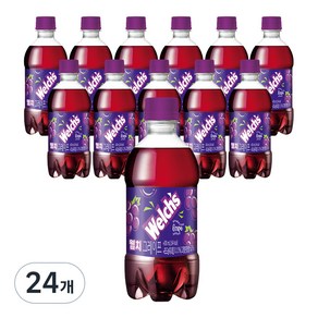 웰치스 포도, 300ml, 24개