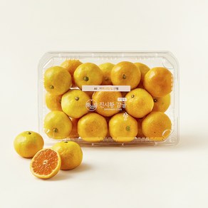 진시황 AI선별 12.5brix 고당도 감귤, 1kg, 1개