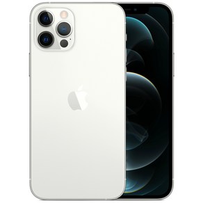 Apple 아이폰 12 Po 자급제, 실버, MGML3KH/A