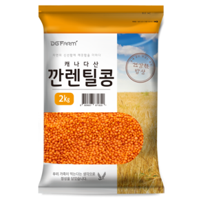 대구농산 깐렌틸콩, 2kg, 1개