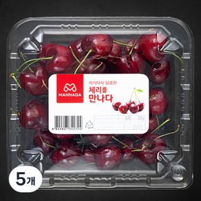 만나다 칠레 체리, 300g, 5개