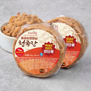 프레시오늘 냄새 약하고 영양가득 진한 윤성순장모님 청국장, 160g, 2개