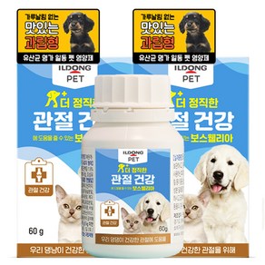 일동펫 반려동물 더 정직한 보스웰리아 영양제, 관절+장건강, 60g, 3개