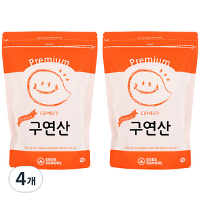 소다스쿨 프리미엄 구연산, 1kg, 4개