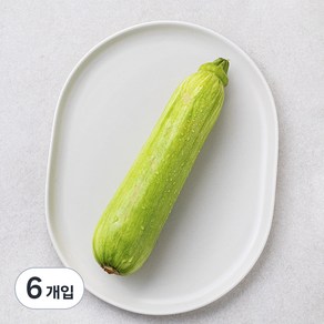 못생겨도 맛있는 애호박 1입