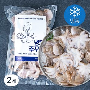 바이오션 주꾸미 (냉동), 500g(20~25마리), 2개