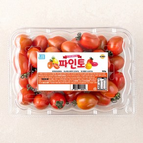 파인토 스테비아 대추방울토마토