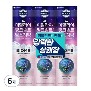 히말라야핑크솔트 바이옴 잇몸 구취전문 치약, 160g, 6개