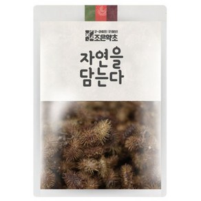 조은약초 자연을 담는다 프리미엄 창이자, 300g, 1개