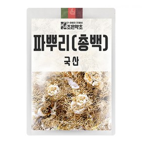 조은약초 파뿌리 총백, 200g, 1개