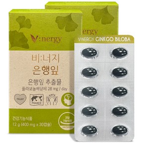 비너지 은행잎 영양제, 2개, 12g