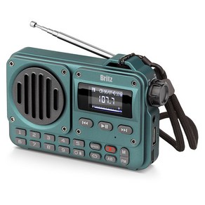 브리츠 블루투스 FM 라디오 스피커 BZ-LV1100