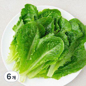 로메인 상추, 200g, 6개