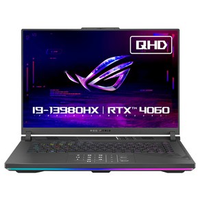 에이수스 2024 ROG 스트릭스 G16 코어i9 인텔 13세대 지포스 RTX 4060, 이클립스그레이, 1TB, 16GB, Fee DOS, G614JV-N4117