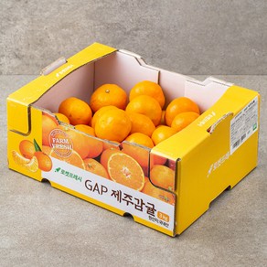 GAP 제주감귤, 3kg, 1박스