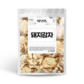 백장생 돼지감자, 300g, 1개