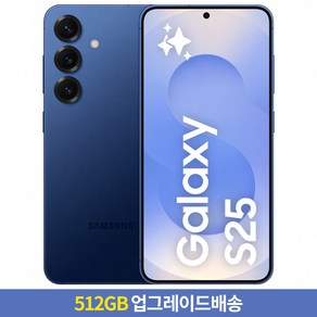 삼성전자 갤럭시 S25 휴대폰 SM-S931N, 네이비, 512GB, KT