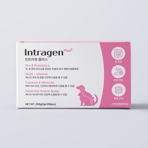 인트라젠 반려동물 플러스 영양제, 장건강/유산균, 1개