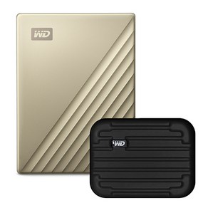 WD My Passpot Ulta Type C 휴대용 외장하드 + 파우치, 4TB, 골드