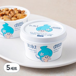 룩트 아이슬란딕 요거트 마일드 100g + 허니스틱 15g + 그래놀라 클러스터 25g, 5세트