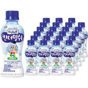 남양유업 아인슈타인 킨더밀쉬 200ml, 24개