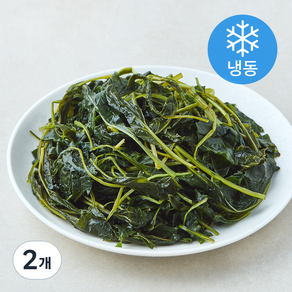 팜조아 국내산 건취나물 (냉동), 2개, 200g