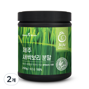 힐링스토리 제주 새싹보리 분말, 2개, 250g