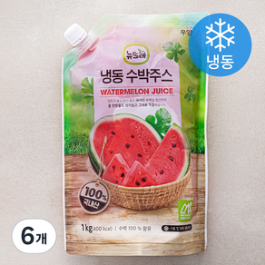 뉴뜨레 수박 주스 (냉동), 1kg, 6개