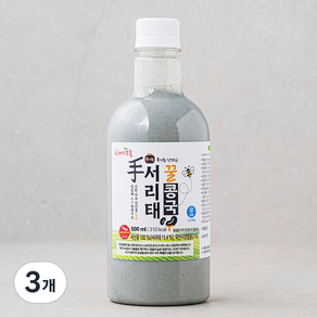 프레시오늘 신선냉장 장단콩 꿀서리태콩국, 500ml, 3개