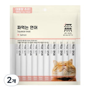 무마진 짜먹는 고양이 간식, 연어, 480g, 2개