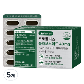 JW중외제약 프로폴리스 플라보노이드 40mg, 60정, 5개