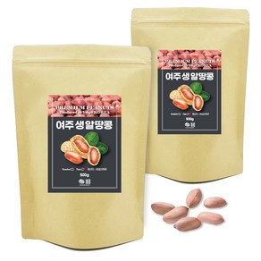 견과공장 생 알땅콩, 500g, 2개