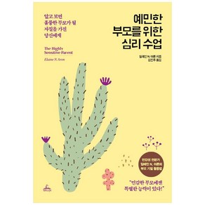 예민한 부모를 위한 심리 수업:알고 보면 훌륭한 부모가 될 자질을 가진 당신에게, 청림라이프